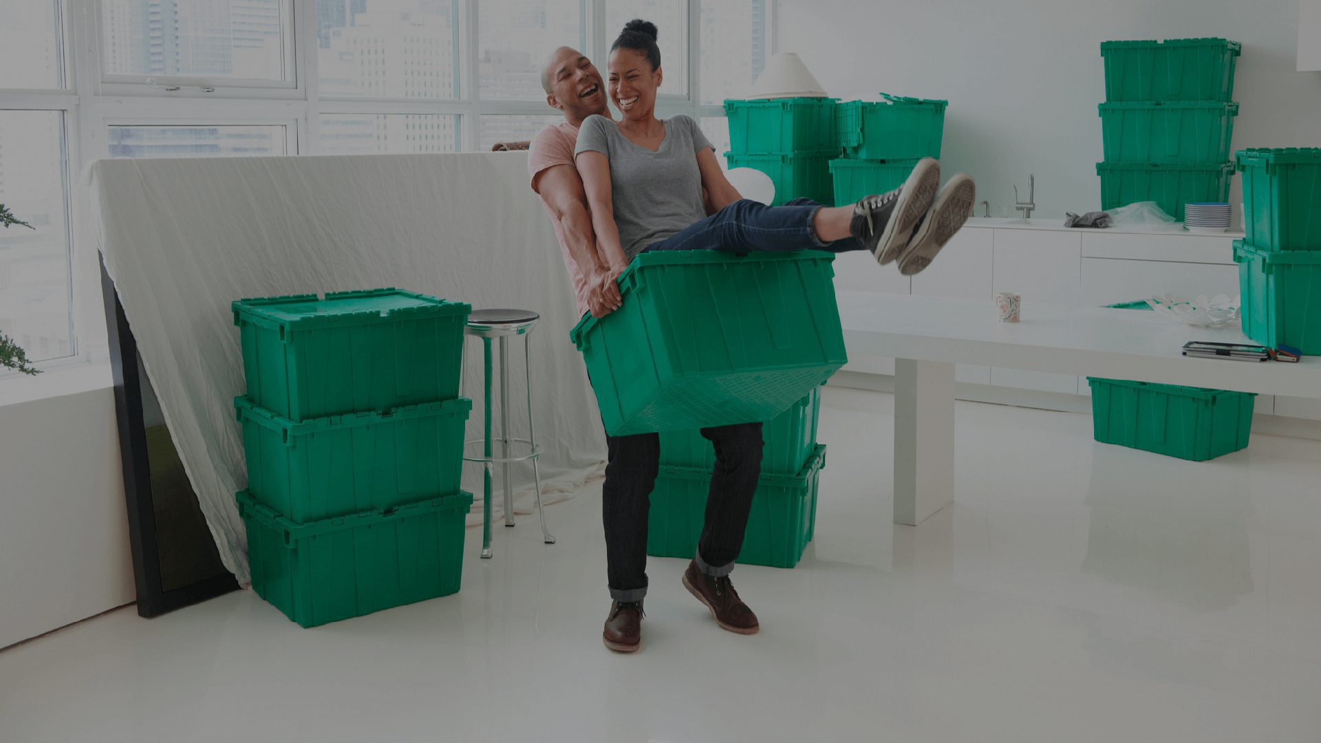 Moving Storage Bins for sale in Indianapolis, Indiana